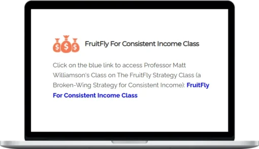 TheoTrade – FruitFly For Consistent Income Class