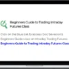 Theotrade – Beginners Guide to Trading Intraday Futures Class