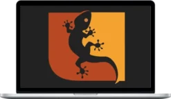 Lizard Trader – Leading Indicators